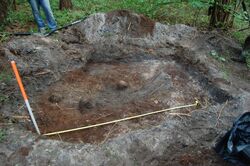 Las pod Sokołem, płytki dół śmierci zawierający szczątki 3 osób (2011)