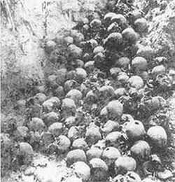 Szczątki ofiar z Ostrówek i Woli Ostrowieckiej – wydobyte z dołów śmierci podczas ekshumacji w sierpniu 1992 r. Zbiory Leona Popka
